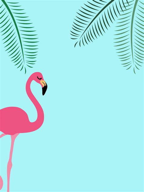 Flamingo Tropical Summer Background Free Stock Photo Public Domain