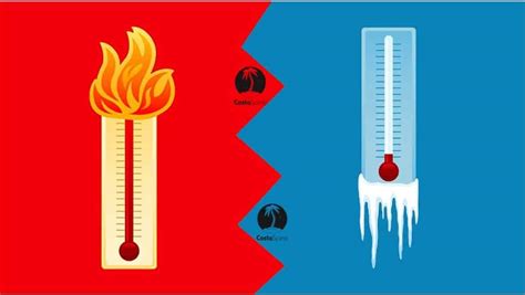 Hot Or Cold Which Is Right For You And Your Condition