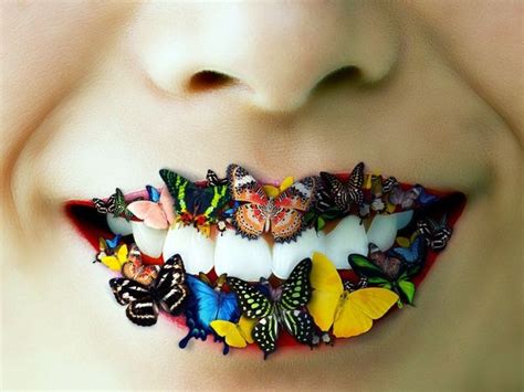 Lips Butterfly Butterflies Colorful Statement AJB Schmetterling