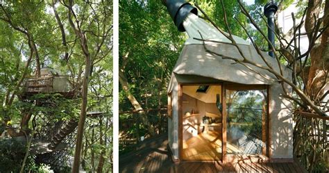 Japans Largest Treehouse Is A Sprawling Structure Built Around A 300