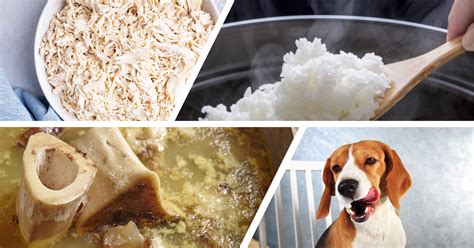 We publish many homemade dog food and treats recipes every month. How to Make Healthy Chicken and Rice Dog Treats ...