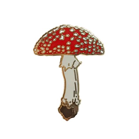 Enamel Pin Mushroom Natural Values Berkley Illustration