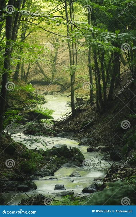 River In Green Fantasy Forest Stock Image Image Of Scene Landscape