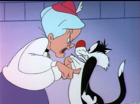 Sylvester And Granny Sylvester The Cat Looney Tunes Characters