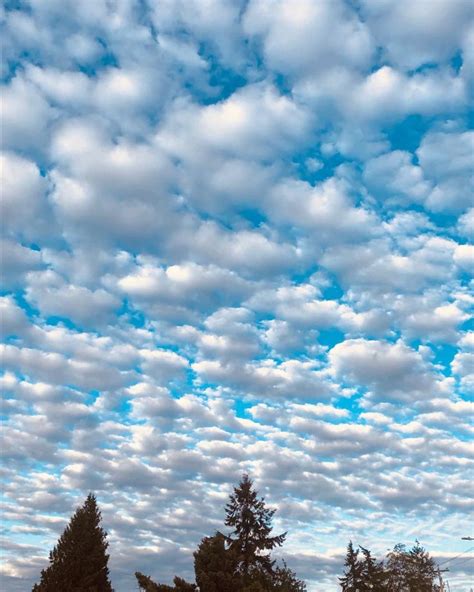 Incredible Cloud Pattern Blue Sky Spring Weather Bc Canada Clouds