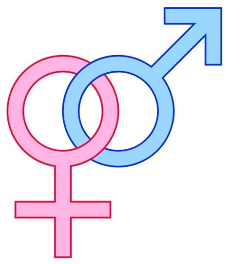 Gender Symbols Male Female Signs11 Heroes What They Do And Why We Need Them