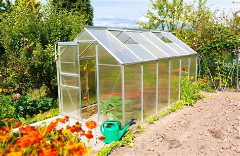 The Benefits Of Building A Greenhouse With Acrylic Sheets