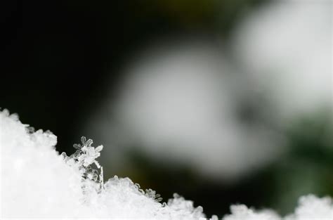 Beautiful Snow Crystal 6216364 Stock Photo At Vecteezy