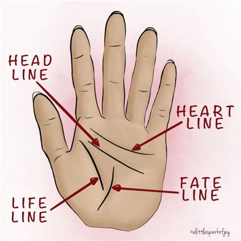The Complete Palm Reading Guide To Reading Between The Lines
