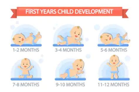 Baby Development Stages After Birth Telugu World