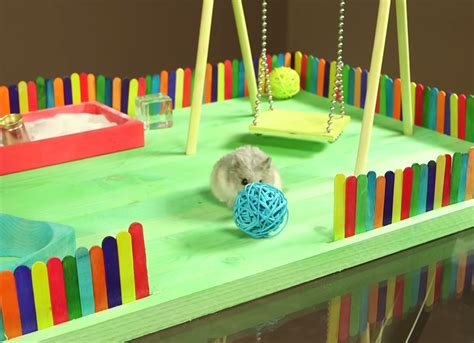 The Cutest Playground Ever For A Tiny Hamster