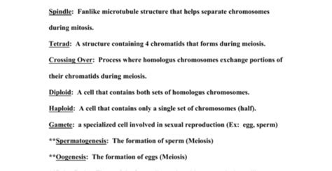 Difference between mitosis and meiosis. Meiosis Worksheets Vocabulary Answers