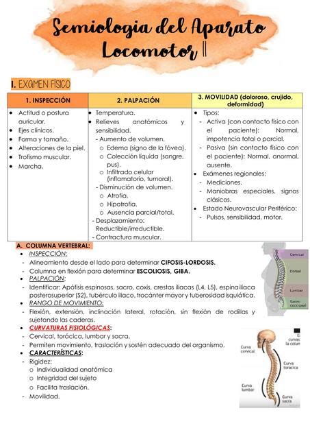 Semiologia Del Aparato Locomotor Cadera Y Muslo Clinica Propedeutica The Best Porn Website