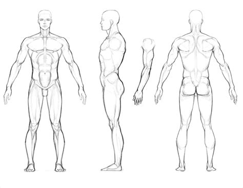 Photobucket Rhph Art Full Body Man Drawing Reference Full Body Sketch Of A Man Male Body