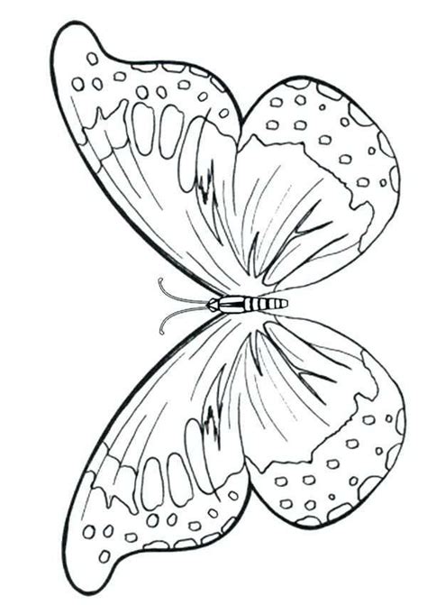 Printable Butterfly Coloring Pages Unique Butterflies