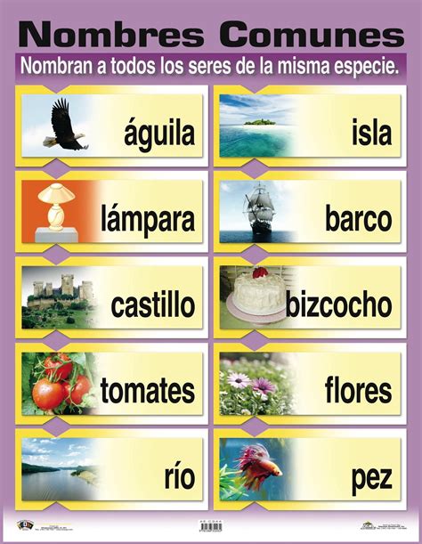 Ae C344 Nombres Comunes Planes De Lecciones De Español Categorías