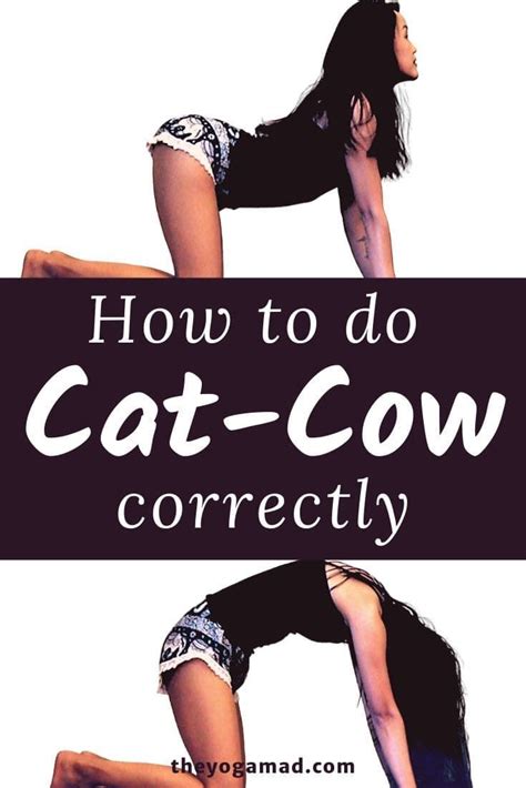 How To Do Cat Cow Pose Correctly Video Tutorial Inside The YogaMad