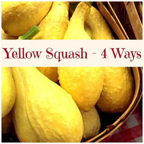 Yellow Summer Squash 4 Ways Yellow Squash Recipes Cooking Yellow