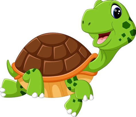 Dibujos Animados Lindo De Tortuga Vector Premium