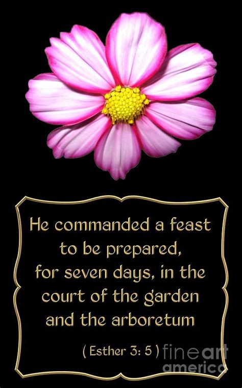 After all, to forgive is to show love, and love is the most important thing we can give to our friends, family, neighbors, and even strangers. Bible Quotes Flower Paintings. QuotesGram