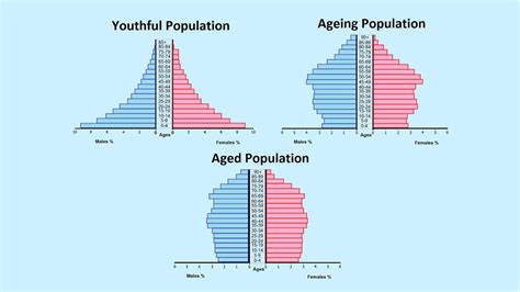 impoverished country population pyramid