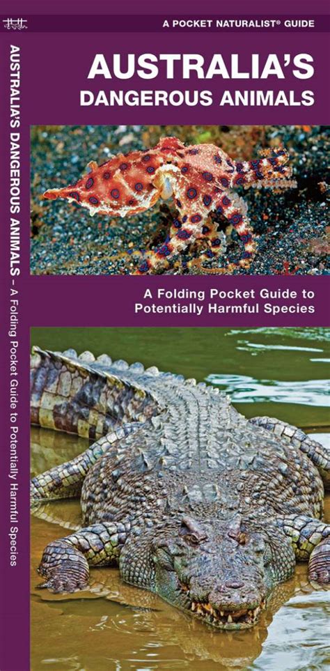Australias Dangerous Animals Pocket Guide