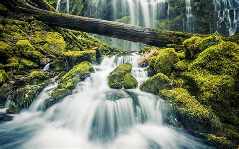 Beautiful Waterfall In Forest Stones Green Moss Wallpaper Nature