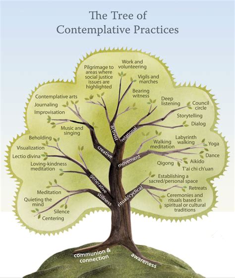 The Tree Of Contemplative Practices The On Being Project