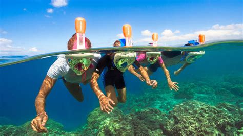 Snorkeling Costaricaamazing