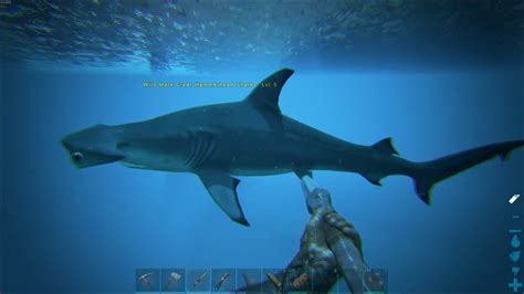 ARK Modded: Exploring the Ocean via Dynamic Means - YouTube