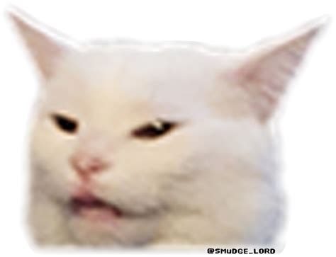 21 Cat Memes Smudge Factory Memes