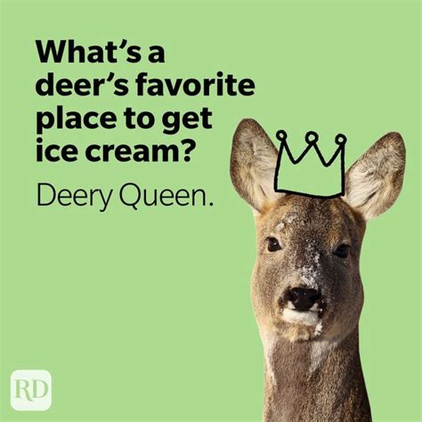 50 Deer Puns That Make The Heart Grow Fawnder Funny Deer Jokes