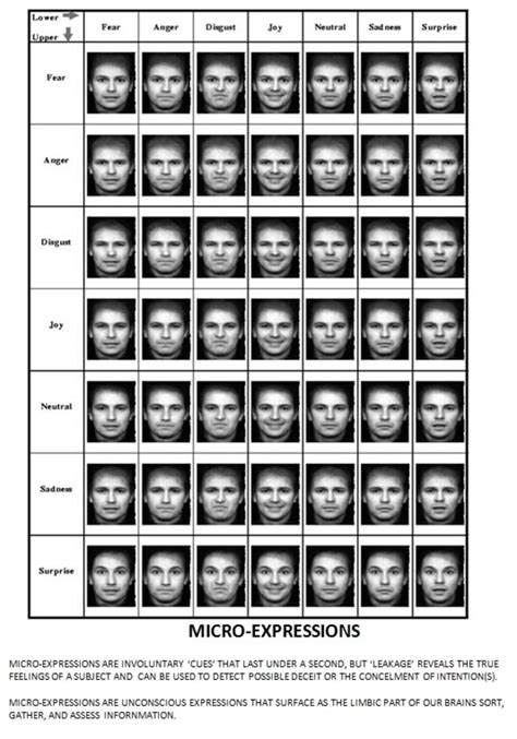 A Catalog Of Facial Clues For Microexpressions From Download