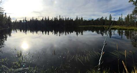 You'll see the most bank fishing near the large camping and. Fishing Lakes Near Me - Find Fishing Venues Closest to You