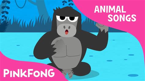Boom Di Boom Di Gorilla Gorilla Animal Songs Pinkfong Songs For