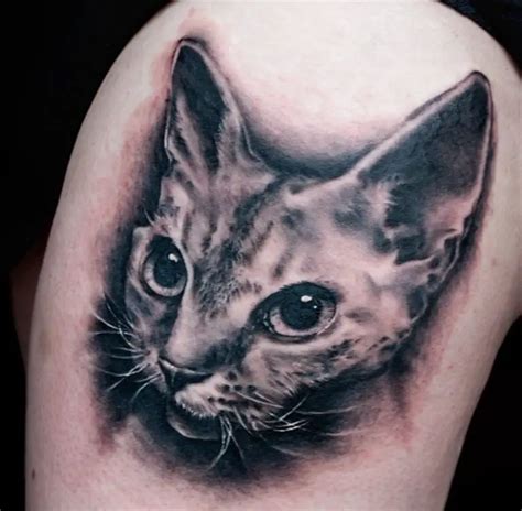 30 Best Realistic Cat Tattoo Designs The Paws