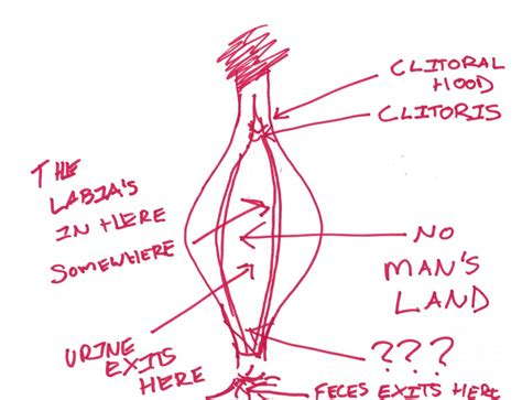 We Asked Men To Draw Vaginas To Prove An Important Point