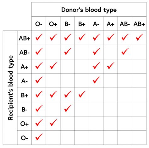 Blood Type Chart Genzels