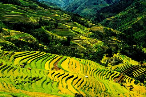 Ancient Terraforming Yunnans 1000 Year Old Hani Rice Terraces Gokunming