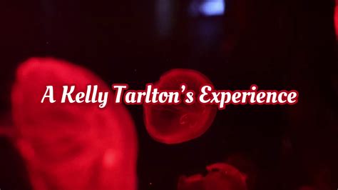 A Kelly Tarltons Experience Youtube