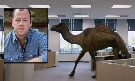 Geico car insurance is available in all fifty states and the district of columbia, and it offers a wide portfolio of insurance policies, no longer just auto insurance. Who's the Voice of the Camel in the Geico 'Hump Day' Commercial? - American Profile