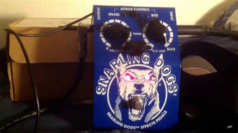 Snarling Dogs Blue Doo Overdrive Youtube