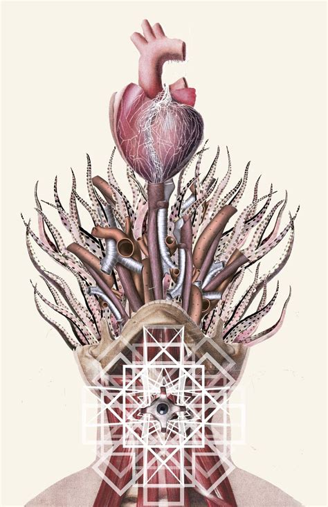 Travis Bedel Collage Artwork Anatomy Art Collage Art