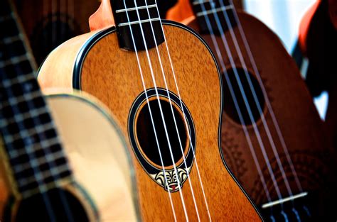 Free Images : music, acoustic guitar, musical instrument, ukulele
