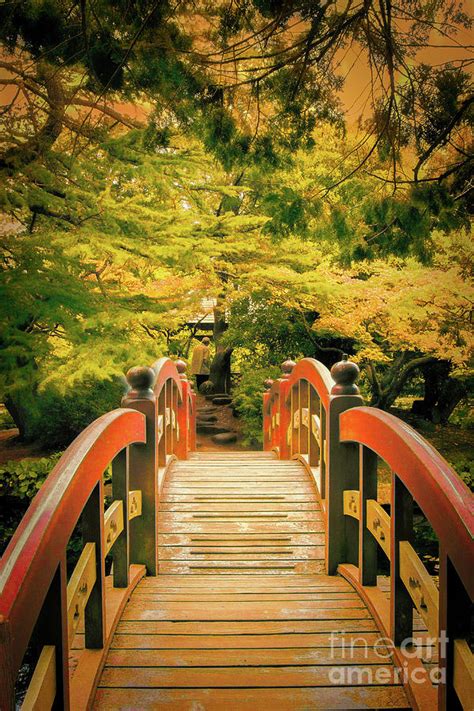 Royal Road Japanese Garden Bridge Photograph By Marilyn Cornwell Fine