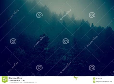 Dark Foggy Forest Hills Stock Photo Image Of Layers