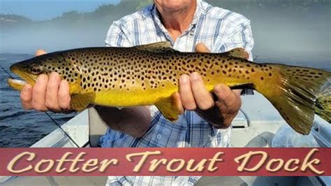 July 14 2021 Arkansas White River Trout Fishing Report Youtube