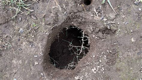 Filling A Small Back Yard Sinkhole Basic Home Repair Skills For