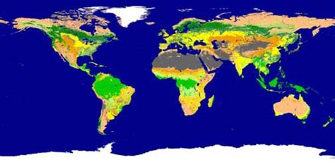 Lp Daac Modisterra Land Cover Types Yearly L3 Global 005deg Cmg