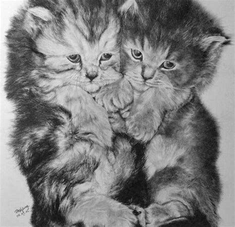 Iad Pencil Drawing Of Cute Cats